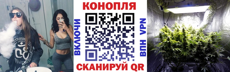 Где продают наркотики Нолинск Конопля  Кокаин  Гашиш  Амфетамин  Меф  СК 