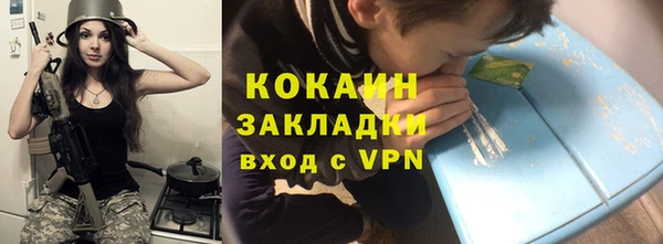 МДПВ Нея