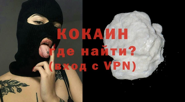 молекула духа Михайлов