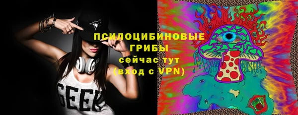 МДПВ Нея