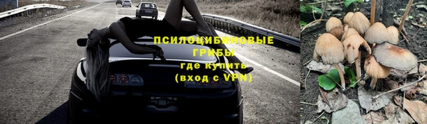 COCAINE Новозыбков