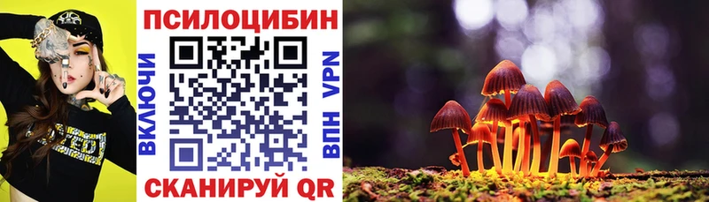 Галлюциногенные грибы Cubensis  Нолинск 